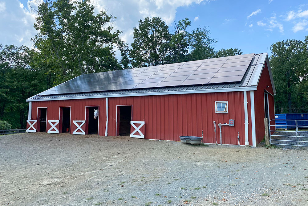 sandy spring horse barn