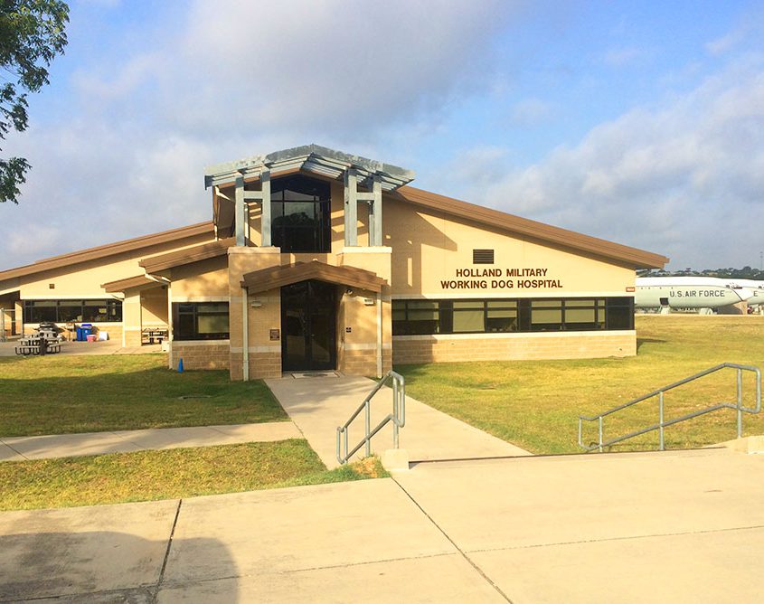 Steel Building Dog Hospital - TX