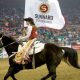 Stockshow Sponsors