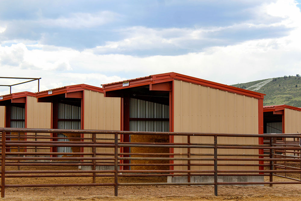 Metal Equine Shelters