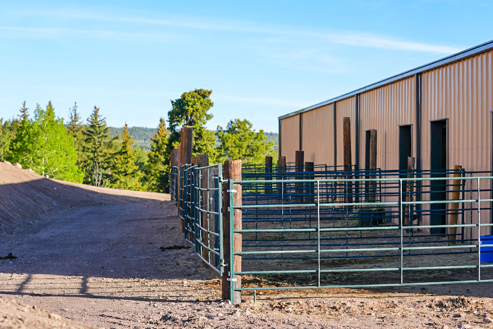Horse Stall Building