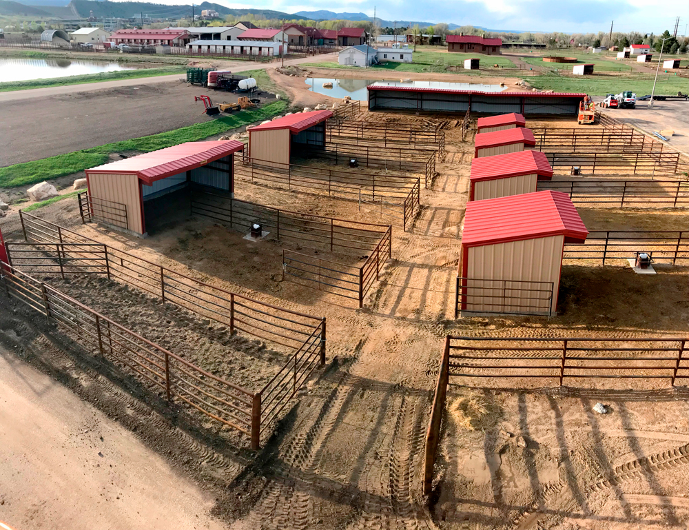 Steel horse buildings in Fort Collins