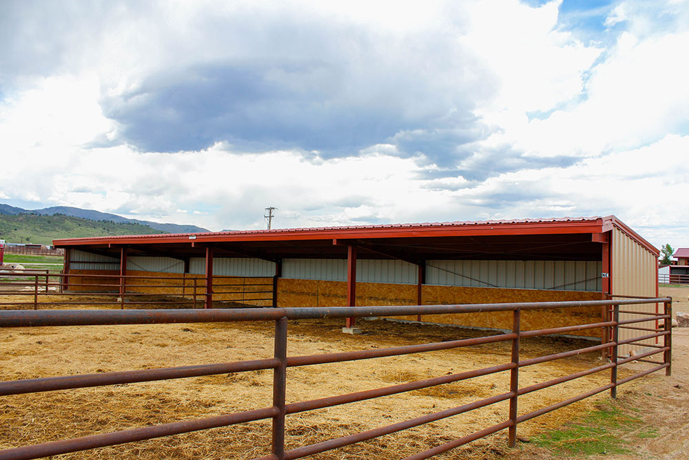 fort collins equestrian