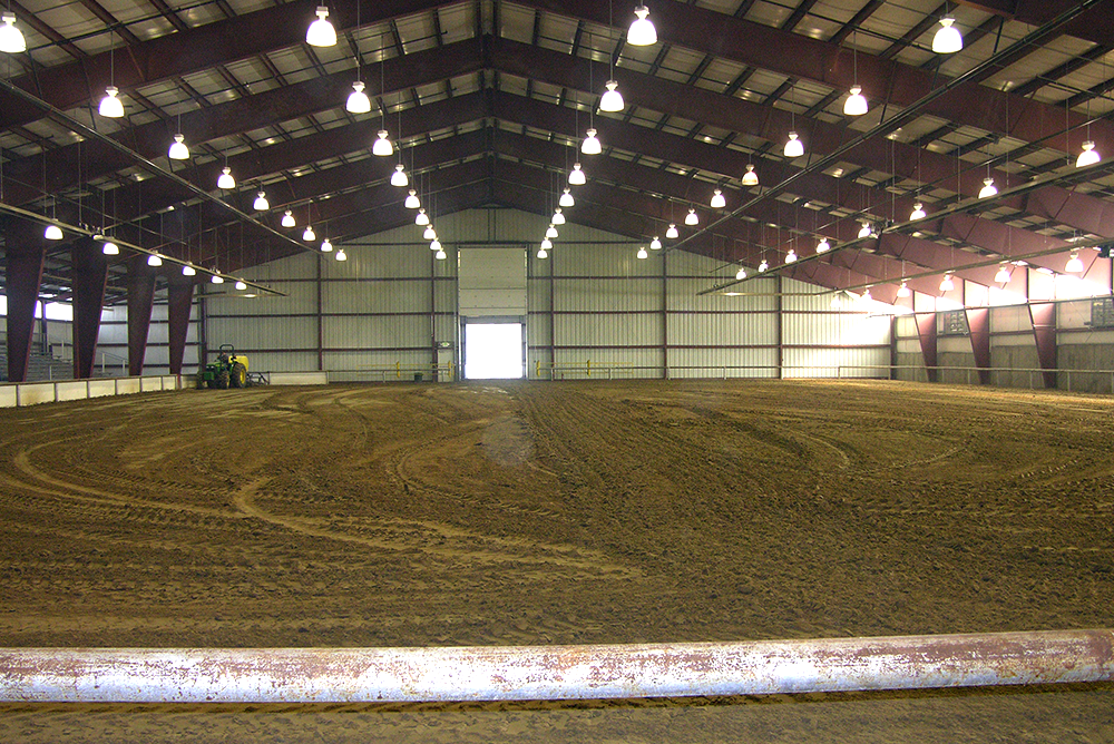 golden colorado equestrian