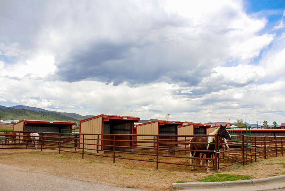 fort collins equestrian