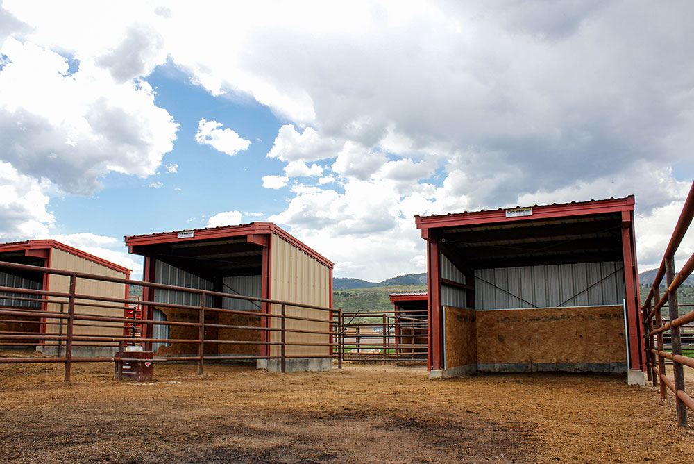 fort collins equestrian