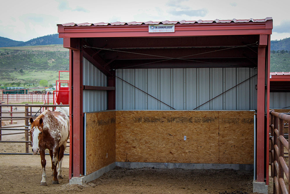 fort collins equestrian