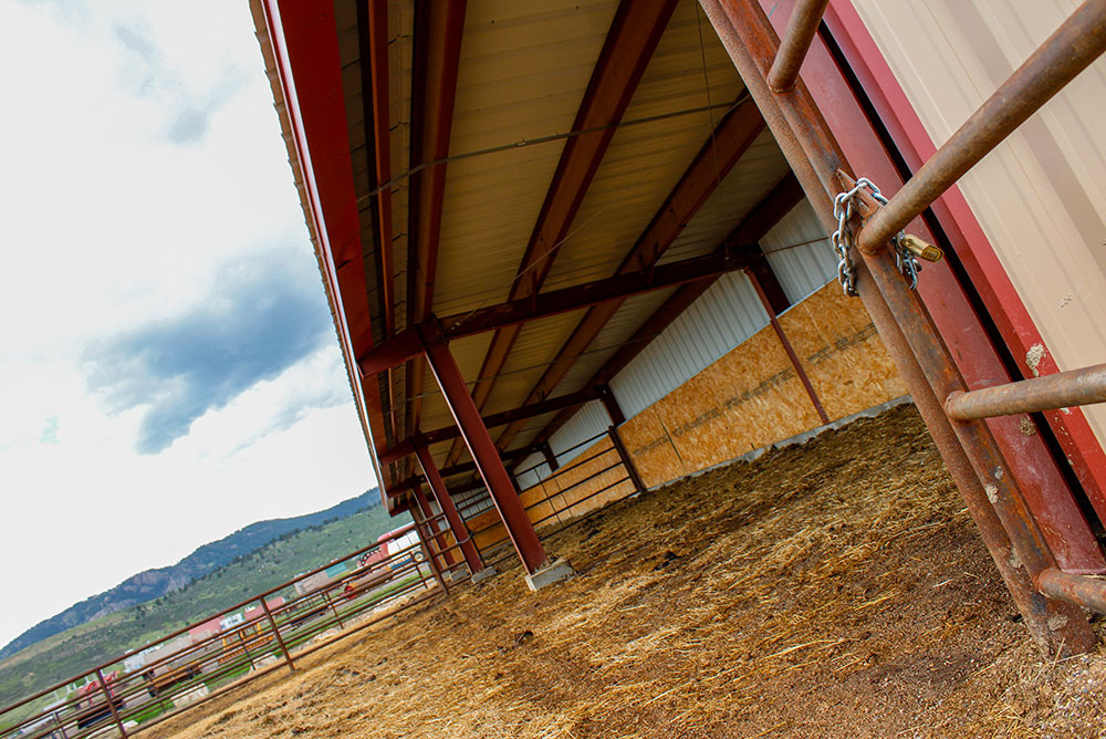 fort collins equestrian