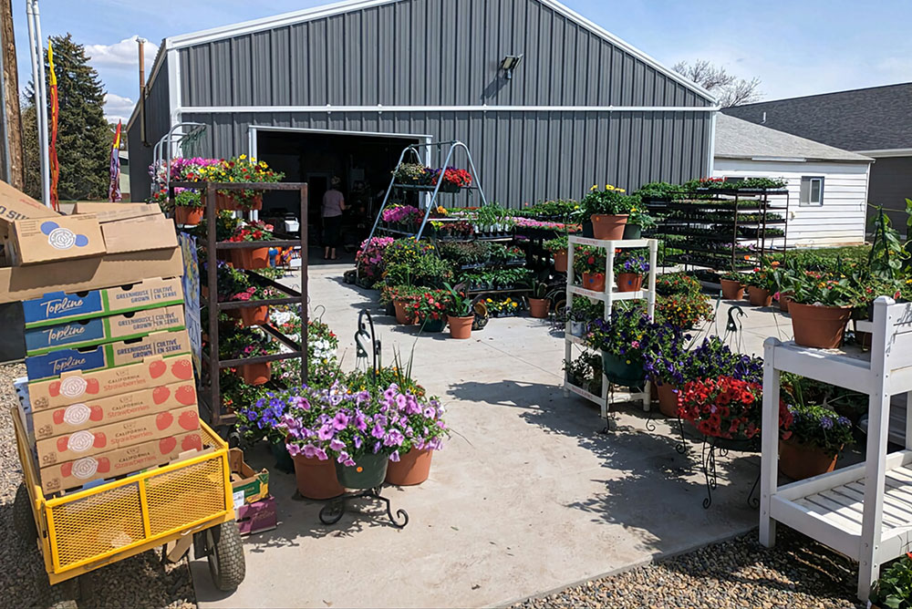 steel flower store building in Culbertson, Montana